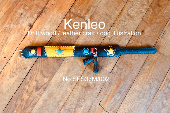 首輪:Kenleo starシリーズ/Mサイズ/No:002(SFS37M) 2枚目の画像