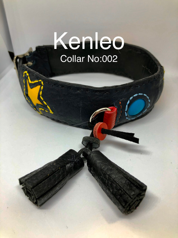 首輪:Kenleo starシリーズ/Mサイズ/No:002(SFS37M) 3枚目の画像