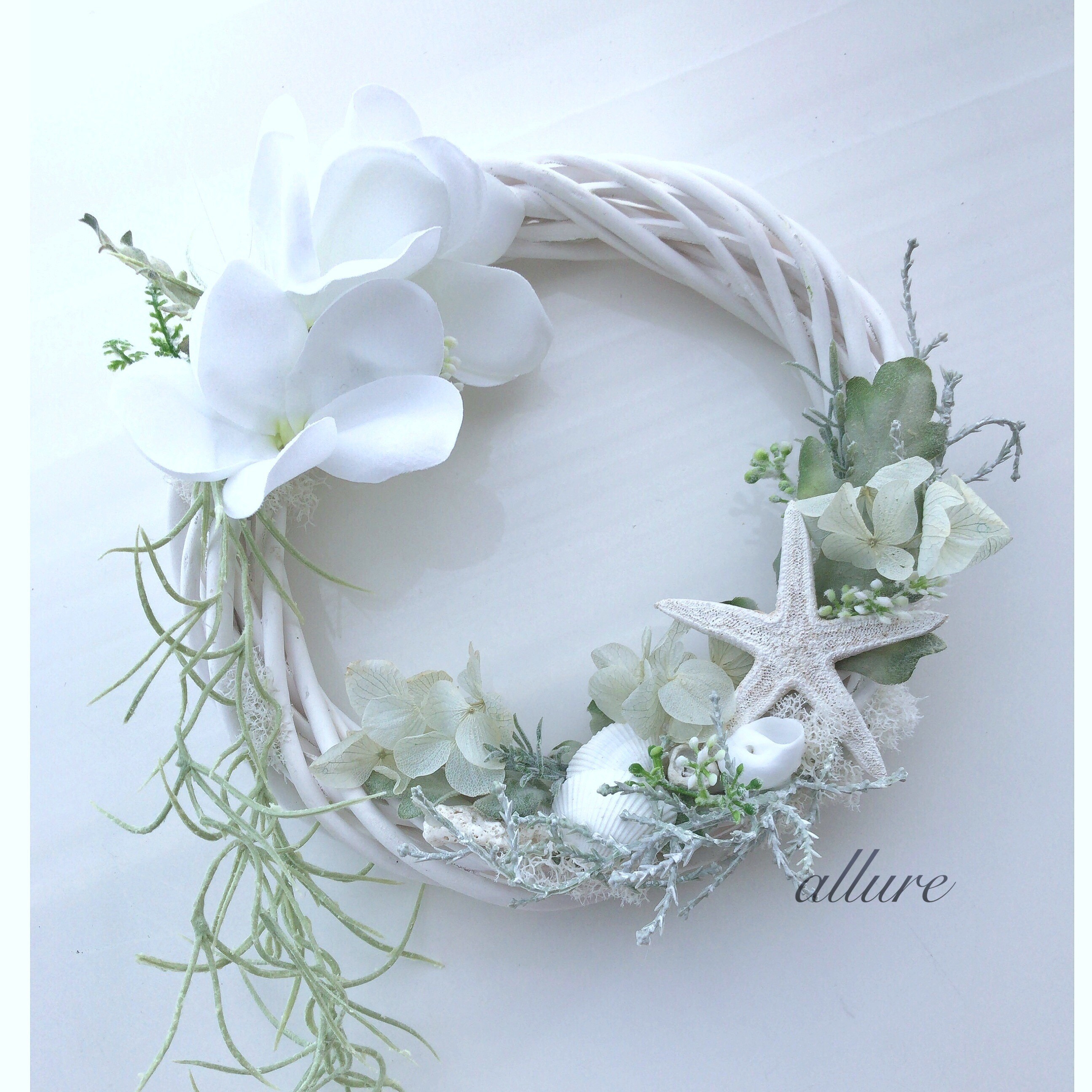 プルメリア ホワイトリース 20 ❁.*・゜ ヒトデ 貝殻 南国インテリア  