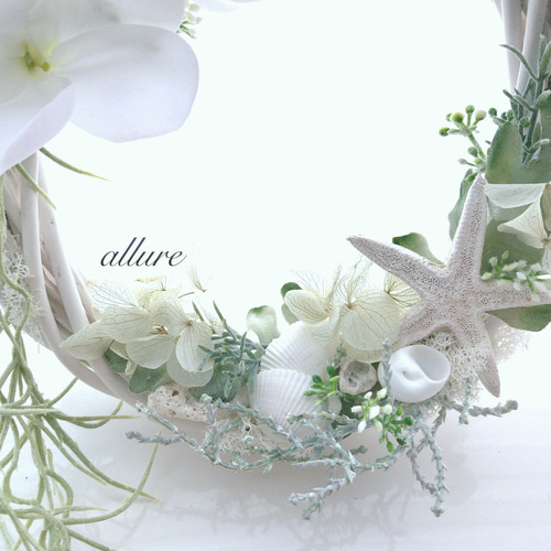 プルメリア ホワイトリース 20 ❁.*・゜ ヒトデ 貝殻 南国インテリア  