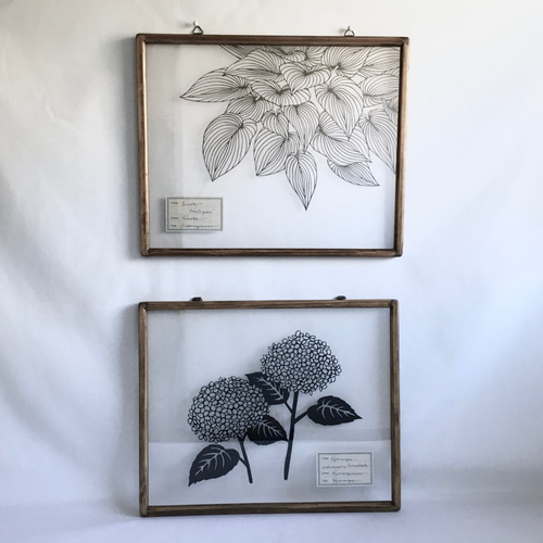 植物標本シリーズ】ギボウシの切り絵フレーム タペストリー・壁掛け