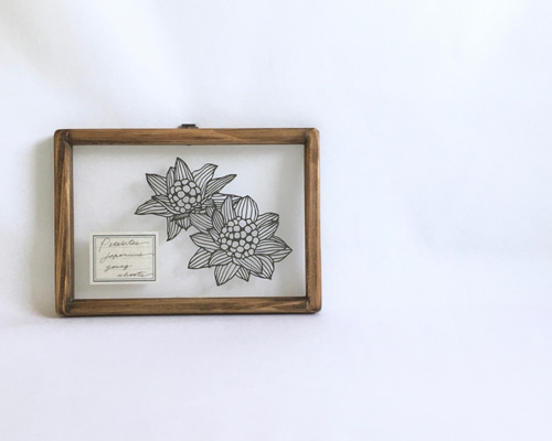 0_0d33e937ecc6e1bac0a51afdf647