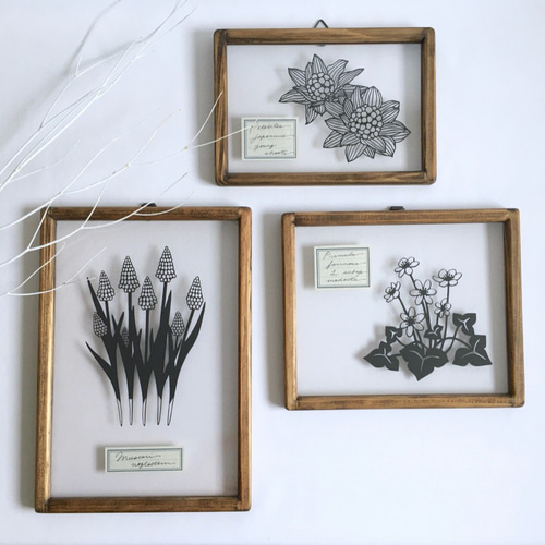 植物標本シリーズ】フキノトウの切り絵フレーム タペストリー・壁掛け