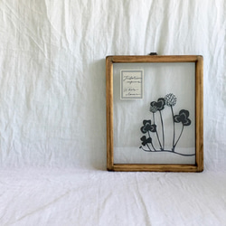 植物標本シリーズ】松ぼっくりの切り絵フレーム タペストリー・壁掛け