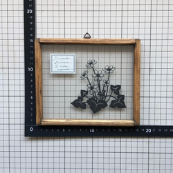 【植物標本シリーズ】ユキワリソウの切り絵フレーム 3枚目の画像