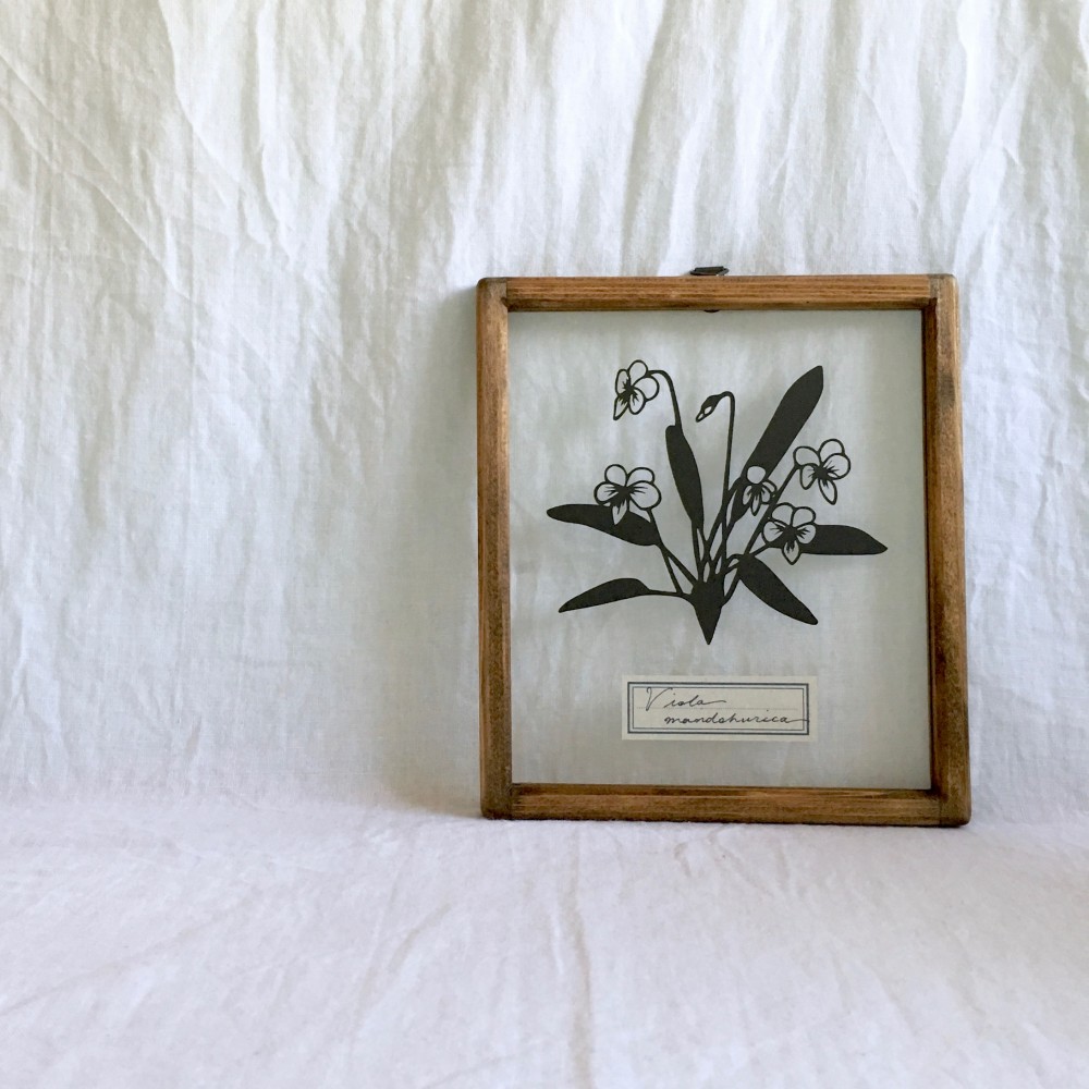 【植物標本シリーズ】スミレの切り絵フレーム 4,950円