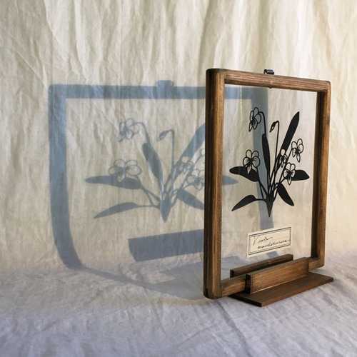 植物標本シリーズ】スミレの切り絵フレーム タペストリー・壁掛け こえ