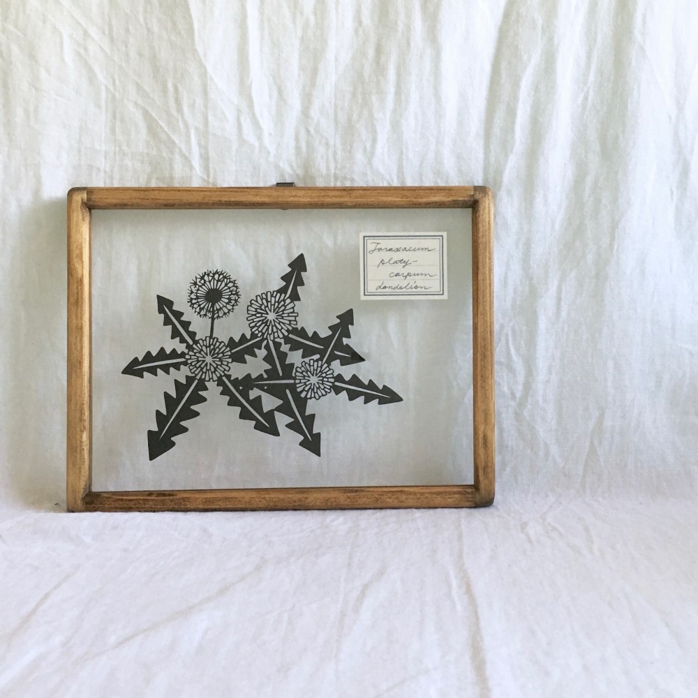 【植物標本シリーズ】タンポポの切り絵フレーム