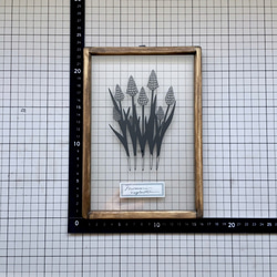 【植物標本シリーズ】ムスカリの切り絵フレーム 3枚目の画像