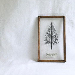 【植物標本シリーズ】カラマツの樹形の切り絵フレーム 1枚目の画像