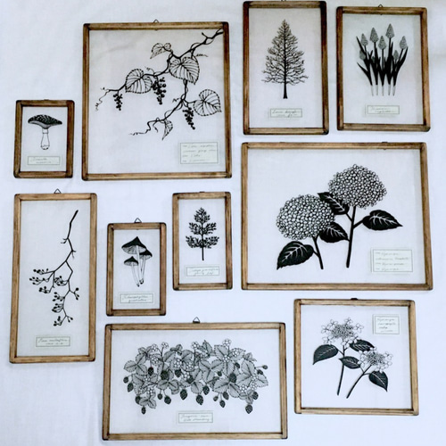 植物標本シリーズ】ノイチゴの切り絵フレーム タペストリー・壁掛け