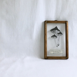 植物標本シリーズ】松ぼっくりの切り絵フレーム タペストリー・壁掛け