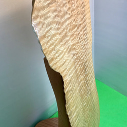 天然木　タモ玉杢　サイドテーブル　折り畳み式　一点物　手造り 5枚目の画像
