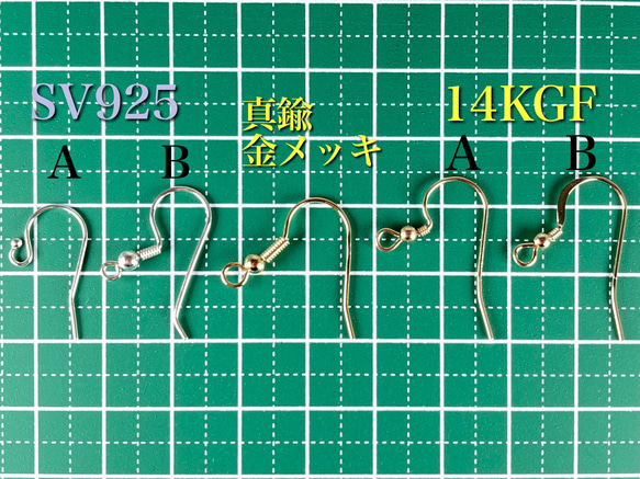  第5張的照片