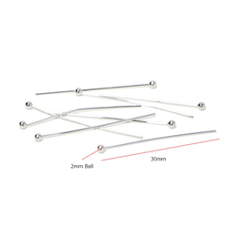 再次上架【3g（約30個）】圓頭針0.6*30mm鍍銠 第5張的照片