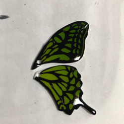 蝶々のキーホルダー（2パーツ式） 6枚目の画像