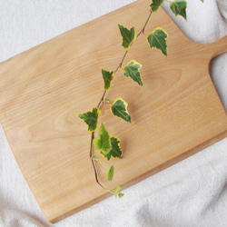 お家カフェにぴったり　飛騨産の無垢の木で作る ナチュラルカッティングボード 水目桜　504 1枚目の画像