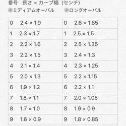 べっ甲×レッドネイル 3枚目の画像