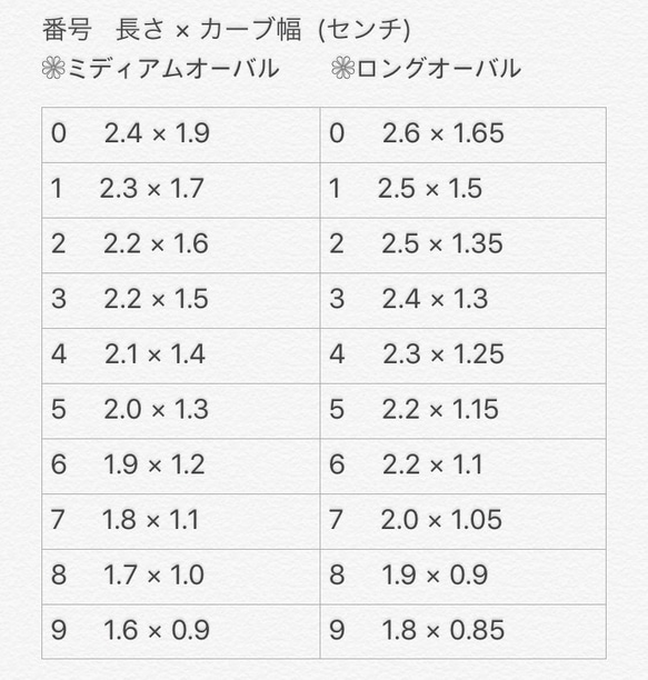 バラアートネイル 3枚目の画像