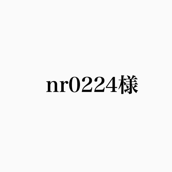 nr0224様 1枚目の画像