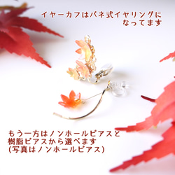 【秋限定】紅葉もみじのイヤーカフ 4枚目の画像