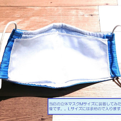 布マスク＋αの安心を♪コットン使用立体型インナーマスク（４種の素材ランダム６枚組） 5枚目の画像