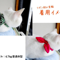 【在庫処分】いちごリボン☆猫用首輪 3枚目の画像