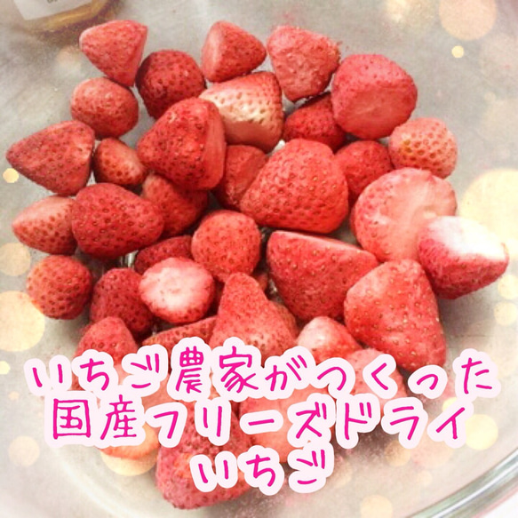 いちご農家がつくった】国産フリーズドライいちご(固形・20g いちご農家がつくった】国産フリーズドライいちご(固形・20g