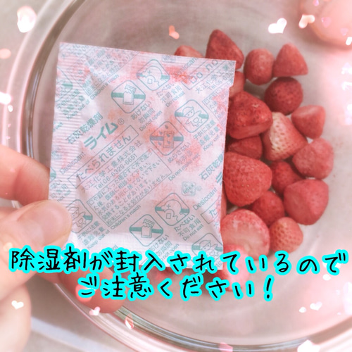 いちご農家がつくった】国産フリーズドライいちご(固形・20g いちご農家がつくった】国産フリーズドライいちご(固形・20g