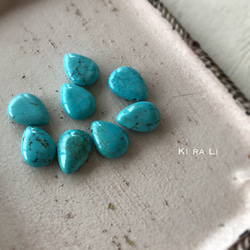  第5張的照片