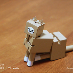 MK ZOO -NEKO（貓貓） - 第2張的照片