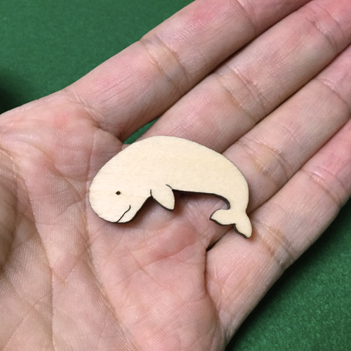 イルカ　スナメリ　骨 イルカ スナメリ 骨 希少】イルカの骨セット_10 【公式通販】