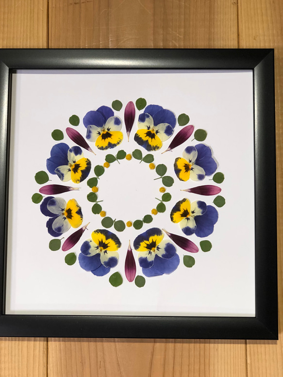 押し花作品 送料無料】押し花アート・初秋のガーデンの花達の押し花額