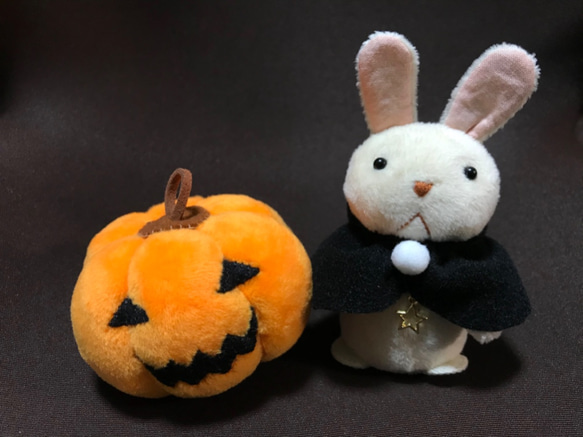 ハロウィンのふたり【一点物です】 1枚目の画像