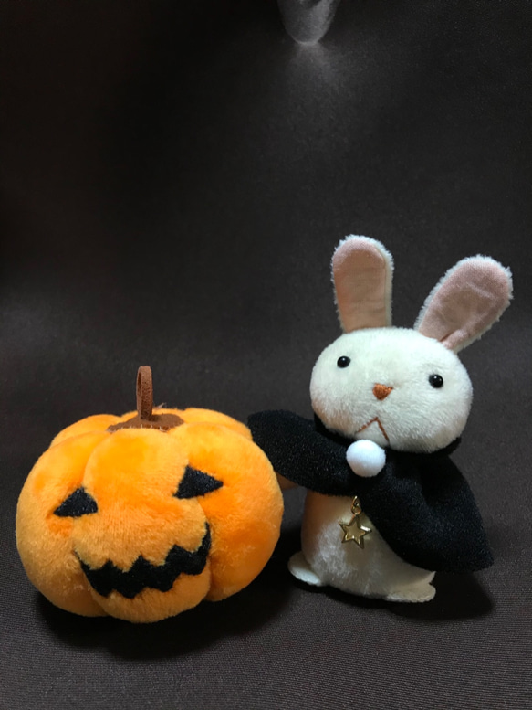 ハロウィンのふたり【一点物です】 3枚目の画像