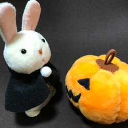 ハロウィンのふたり【一点物です】 5枚目の画像