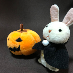 ハロウィンのふたり【一点物です】 6枚目の画像