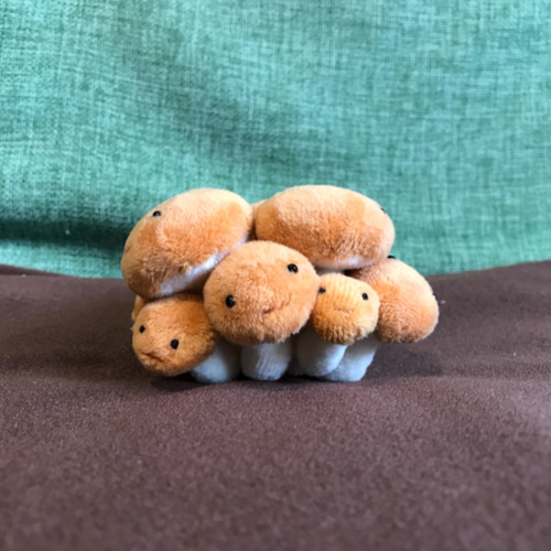 【オンライン限定商品】  きのこさん（ひと株）【受注製作】 ぬいぐるみ ikuko 通販 その他