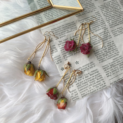 1番人気〗薔薇のドライフラワーピアス/イヤリング ピアス（フック