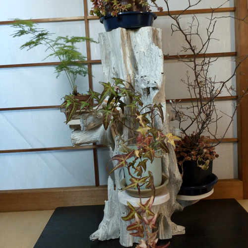 冬ギフト セ 4段飾り 枯れ木 花器 自然木 天然木 花台 オブジェ 流木 置物 置物