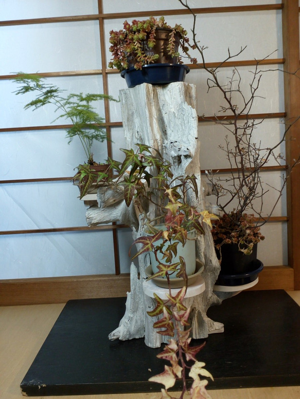 天然木　花台　オブジェ 天然木花台・飾り台 KD-4エンジュの天然木 | iichi 日々の暮らし