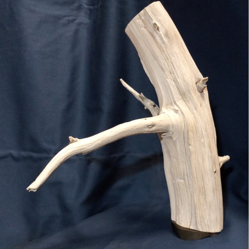 花器 花台 流木 枯れ木 天然木 自然木 オブジェ 置物 送料無料