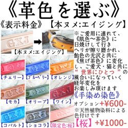 ✨すぐ届く!!✨世界にひとつ⭐お名前＆お電話刻印⭐安心・安全・しなやか⭐栃木レザー⭐愛犬家職人謹製⭐犬猫用首輪♥SALE 7枚目の画像