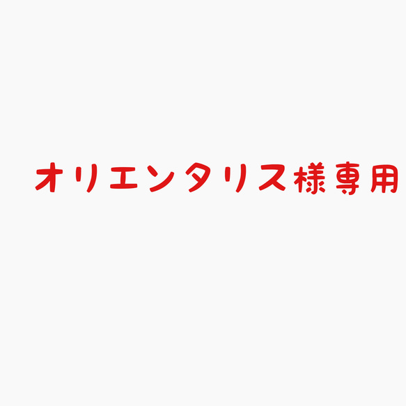 追加送料 1枚目の画像