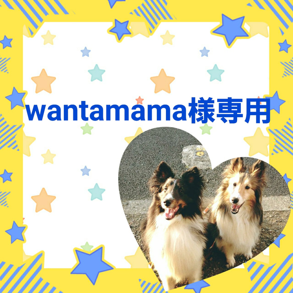 wantamama様専用 1枚目の画像