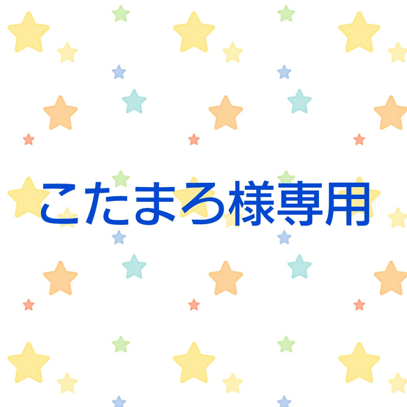 こたまろ様専用 1枚目の画像