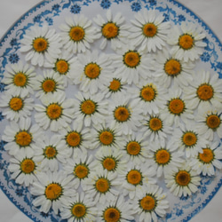 11/27まで専用】2024 お正月 干支 辰 鏡餅 羊毛フェルト 置物 鏡餅