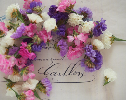 0_6eb2b75e15c17d454b5f03731e94