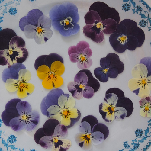 押し花ミラー❤️ビオラ