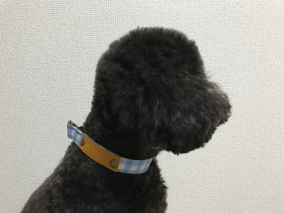 セミオーダーメイド★犬用首輪★名入れ無料★1.5センチ幅 6枚目の画像